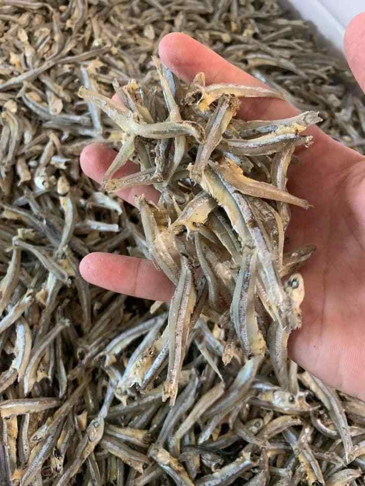 High quality best selling Dried Anchovy - Factory Direct From Vietnam - Export in bulk Dried Anchovies - ANNA DO W.A+84 98215305