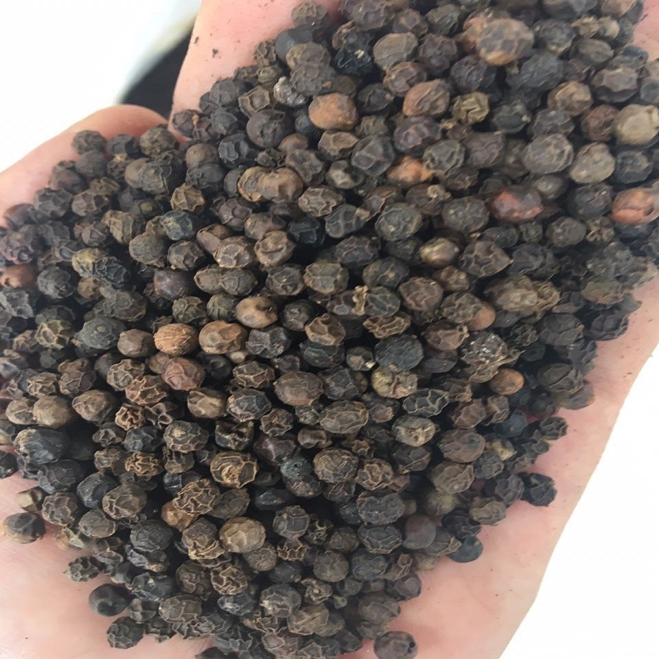 Cheap Price Hot Selling Rich Nurtrious Hot Spicy Black Pepper 500 G/L from Vietnam  - WA +84 924 7736232 (Mr Kelvin)