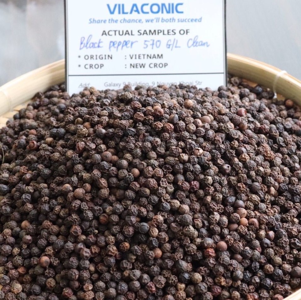 Vietnam Black Pepper Prices 570G/L MC With Top Quality  - WA +84 924 736 232 (Mr Kelvin)