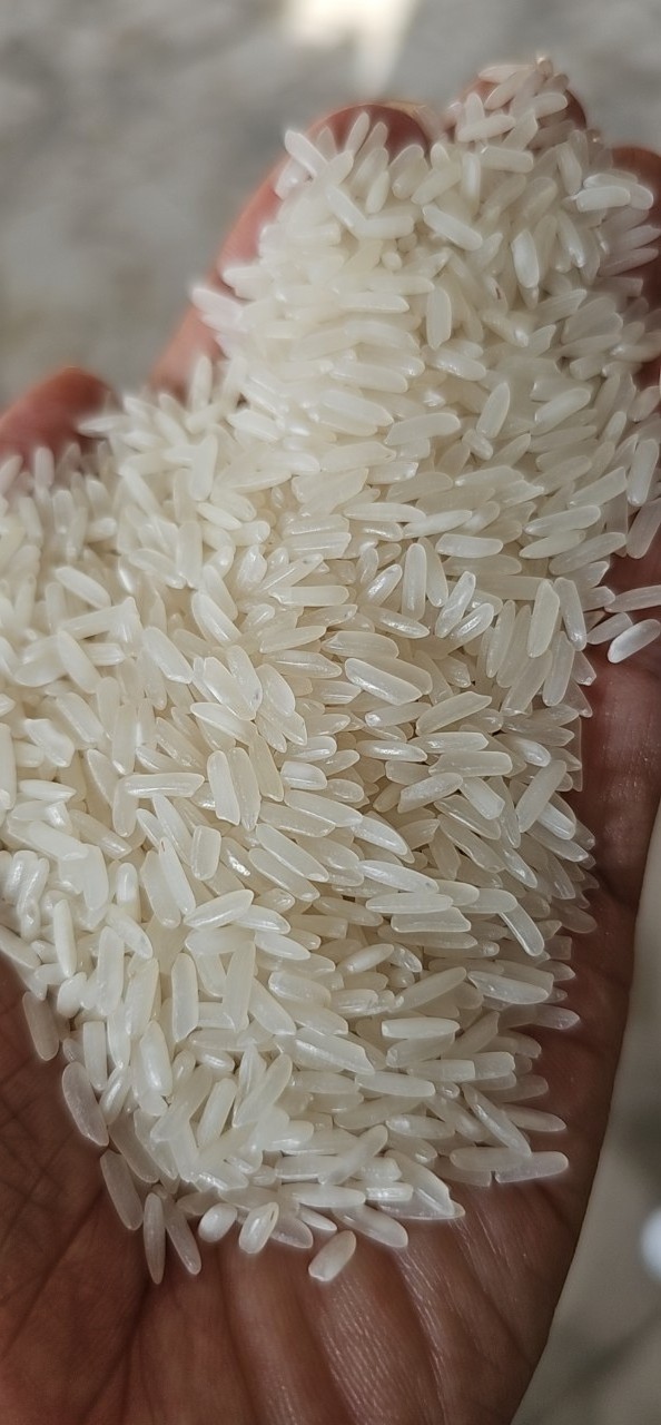 Jasmine Rice | Asian Supper Enrich perfume rice riz Arroz / Jasmine Fragrant white rice 5% broken -Anna Do WA: +84982153058