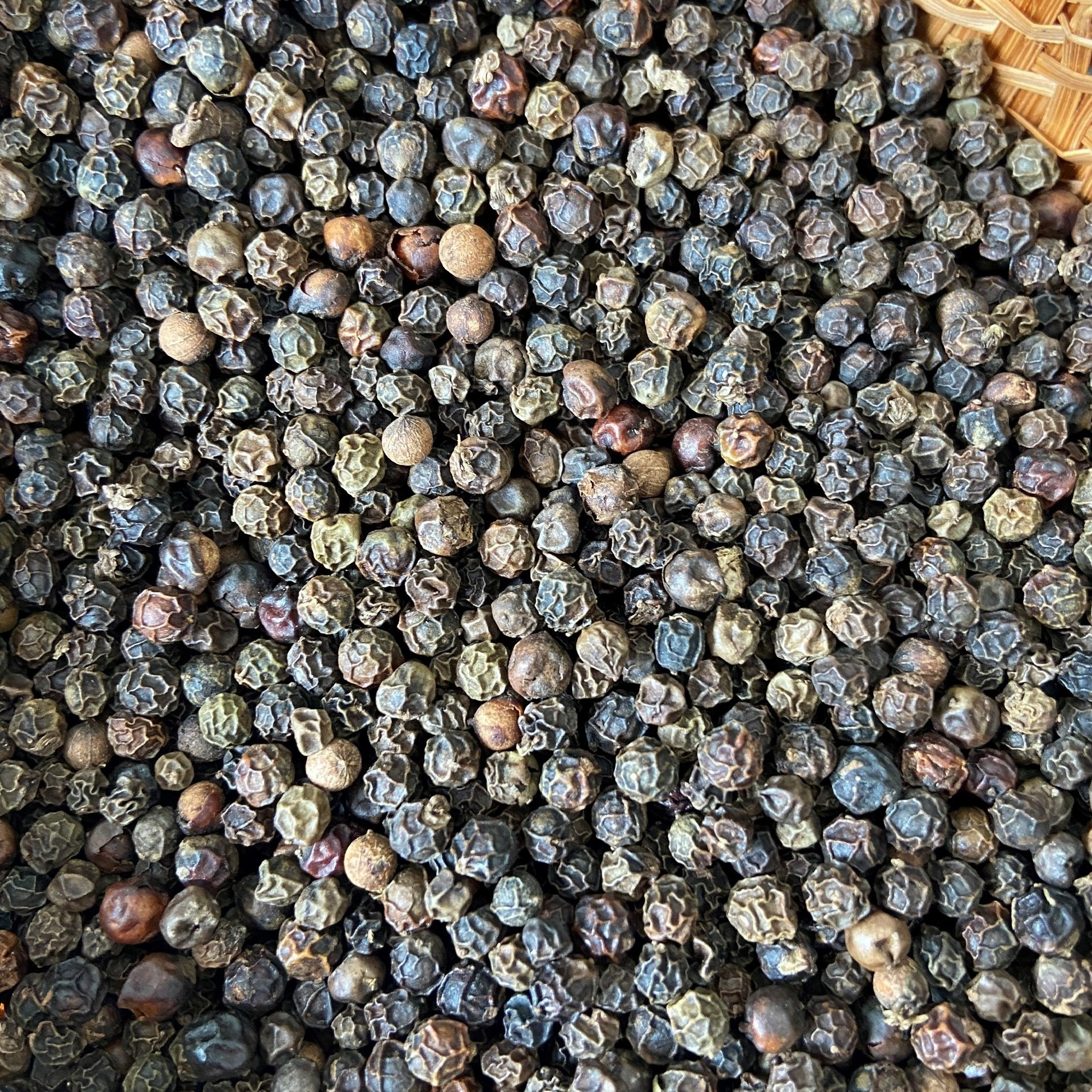 HOT SPICES!!! BLACK PEPPER WHOLE 550G/L MACHINE CLEANED NEW CROP FACTORY PRICE HIGH QUALITY - WA +84924736232 (MR. KELVIN)