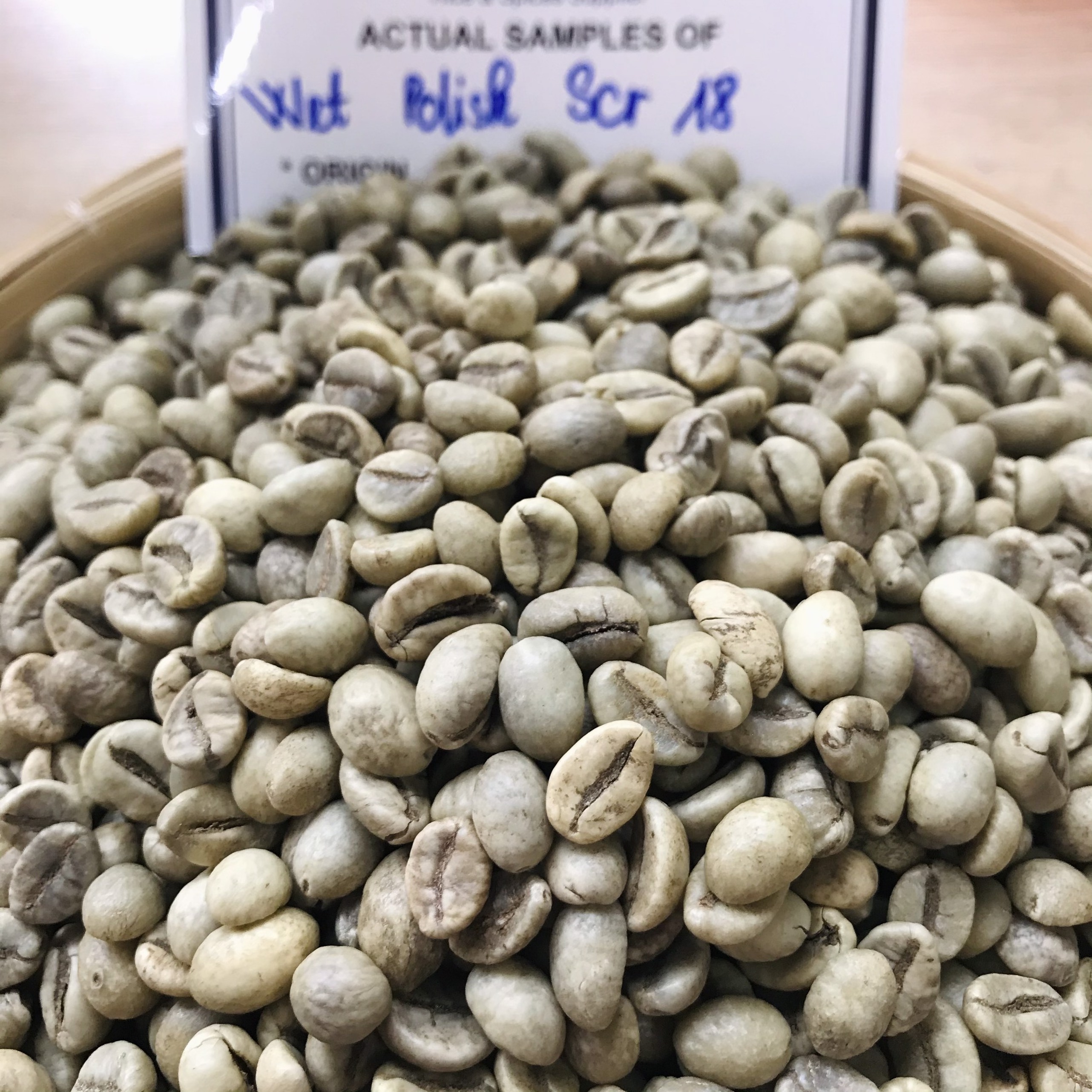 VIETNAM ROBUSTA COFFEE BEAN SCR 13, 16, 18 100% Natural Arabica Coffee Bean Attractive Flavor Whole Sale Price -Anna Do +8498215