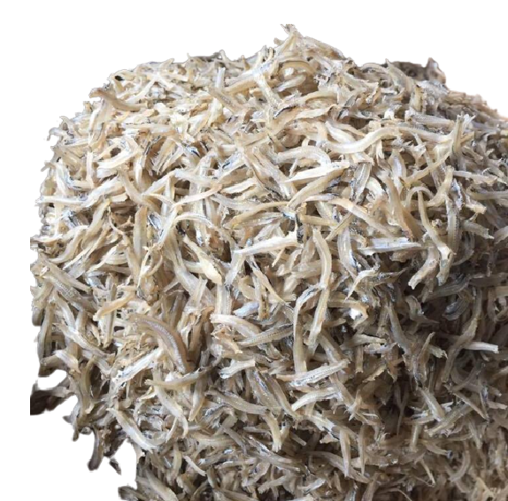 High quality best selling Dried Anchovy - Factory Direct From Vietnam - Export in bulk Dried Anchovies - ANNA DO W.A+84 98215305