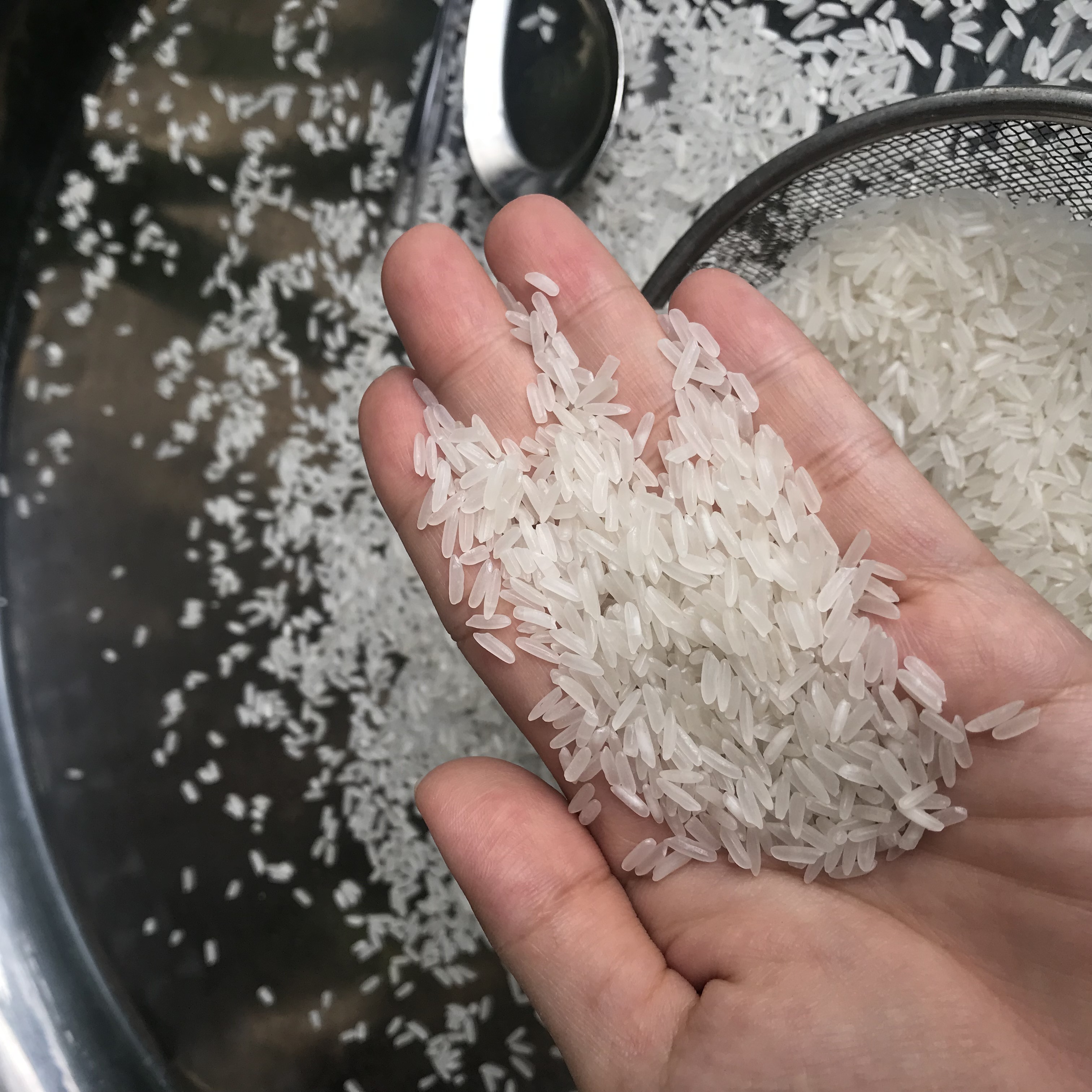 Premium quality jasmine rice quality- thai hom mali jasmine rice 5% broken bag 25kg- Anna Do W/a +84982153058