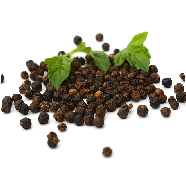 BLACK PEPPER 500/550/570/580 G/L MC & FAQ ASTA HIGH QUALITY BEST PRICE IN VIETNAM - ANNA DO - WA: +84982153058