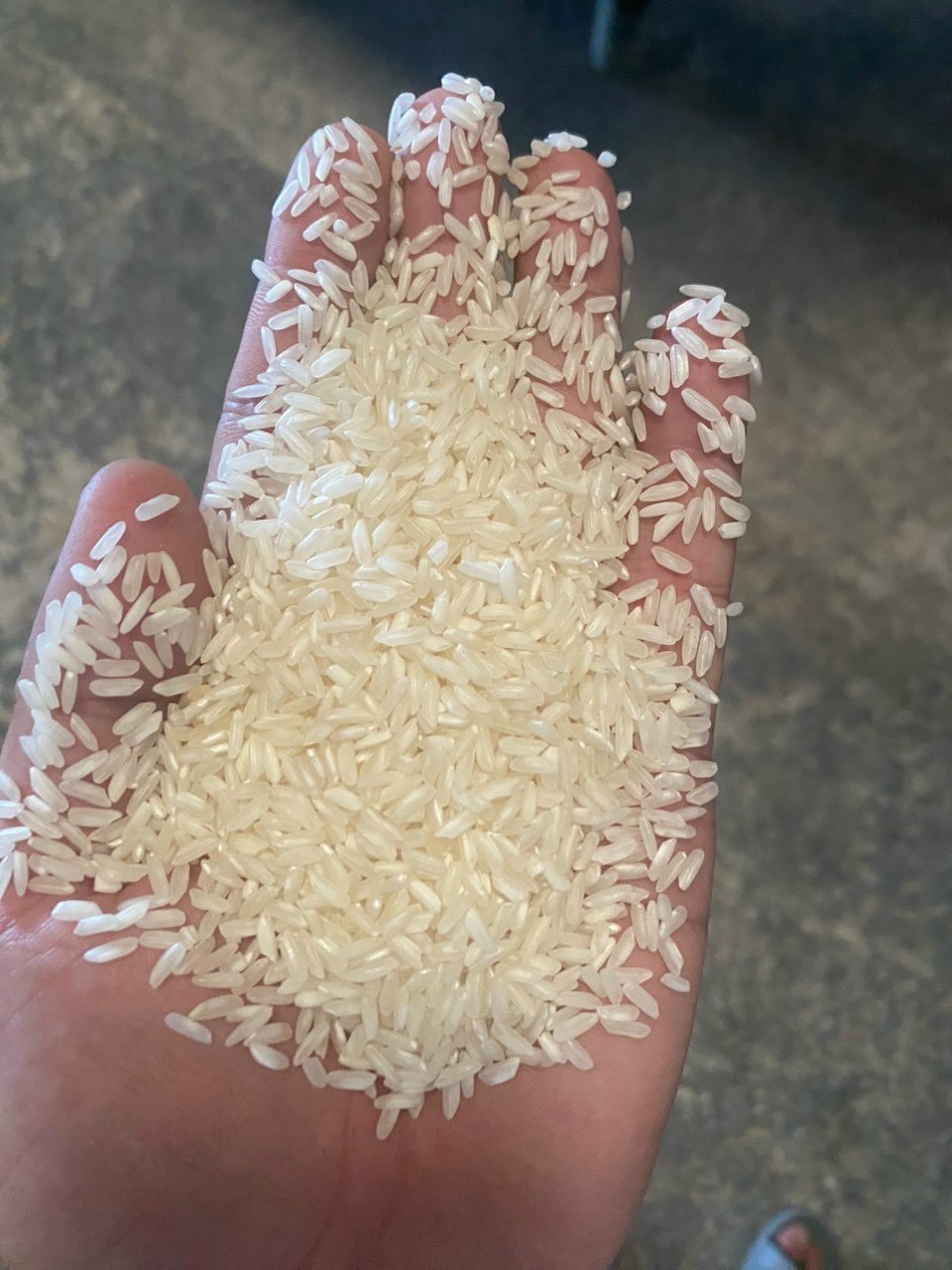 Vietnamese Long Grain White Rice 5% 10% 25% 100% Broken - 504 rice - IR64 raw rice - ANNA DO Whatsapp: +84982153058