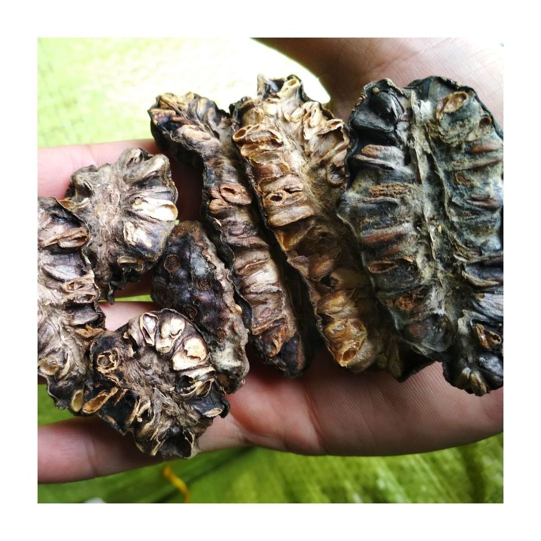 Best Selling 100% Natural High Quality Vietnam Dried Noni Fruit For Herbal Tea with Low Price