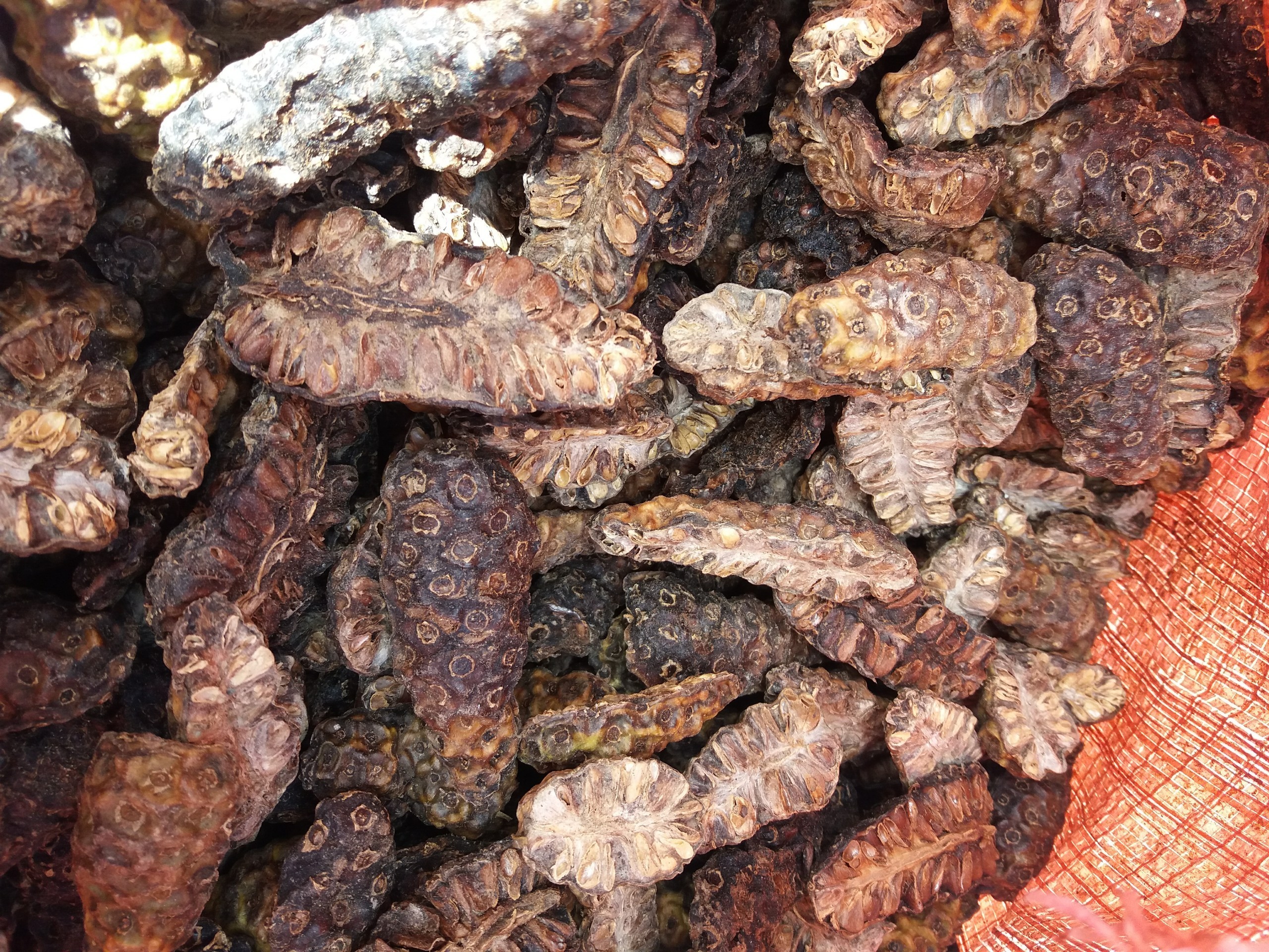 Best Selling 100% Natural High Quality Vietnam Dried Noni Fruit For Herbal Tea with Low Price