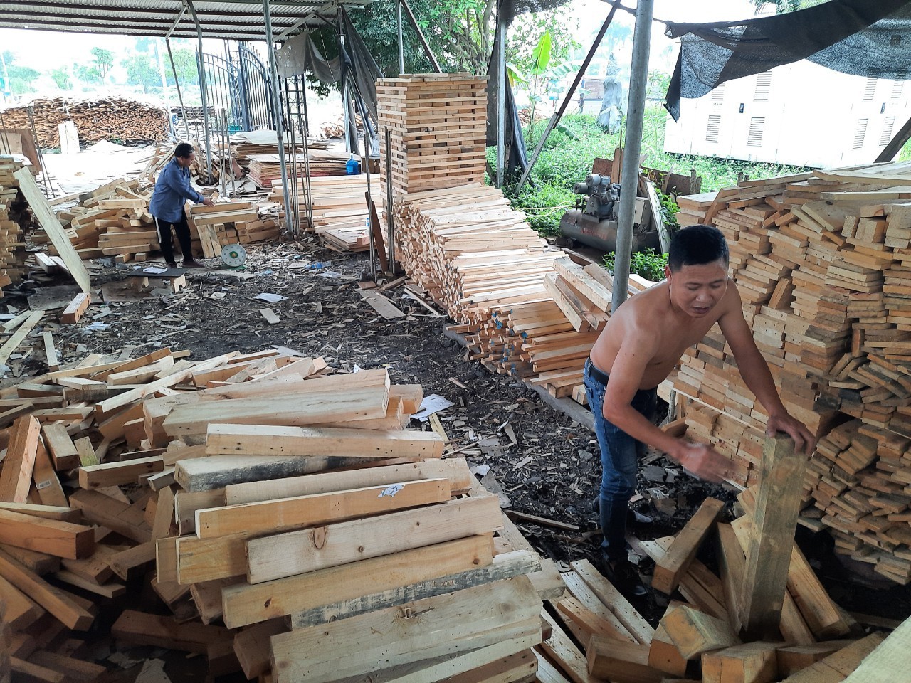 Viet Nam Eucalyptus Raw Wood Log For Fuel In Winter And Furniture Decoration Production High Quality