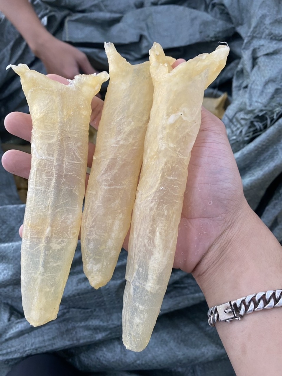 Attractive prices Dried Fish Maw with Wholesale High Quality 100% natural originated from Vietnam