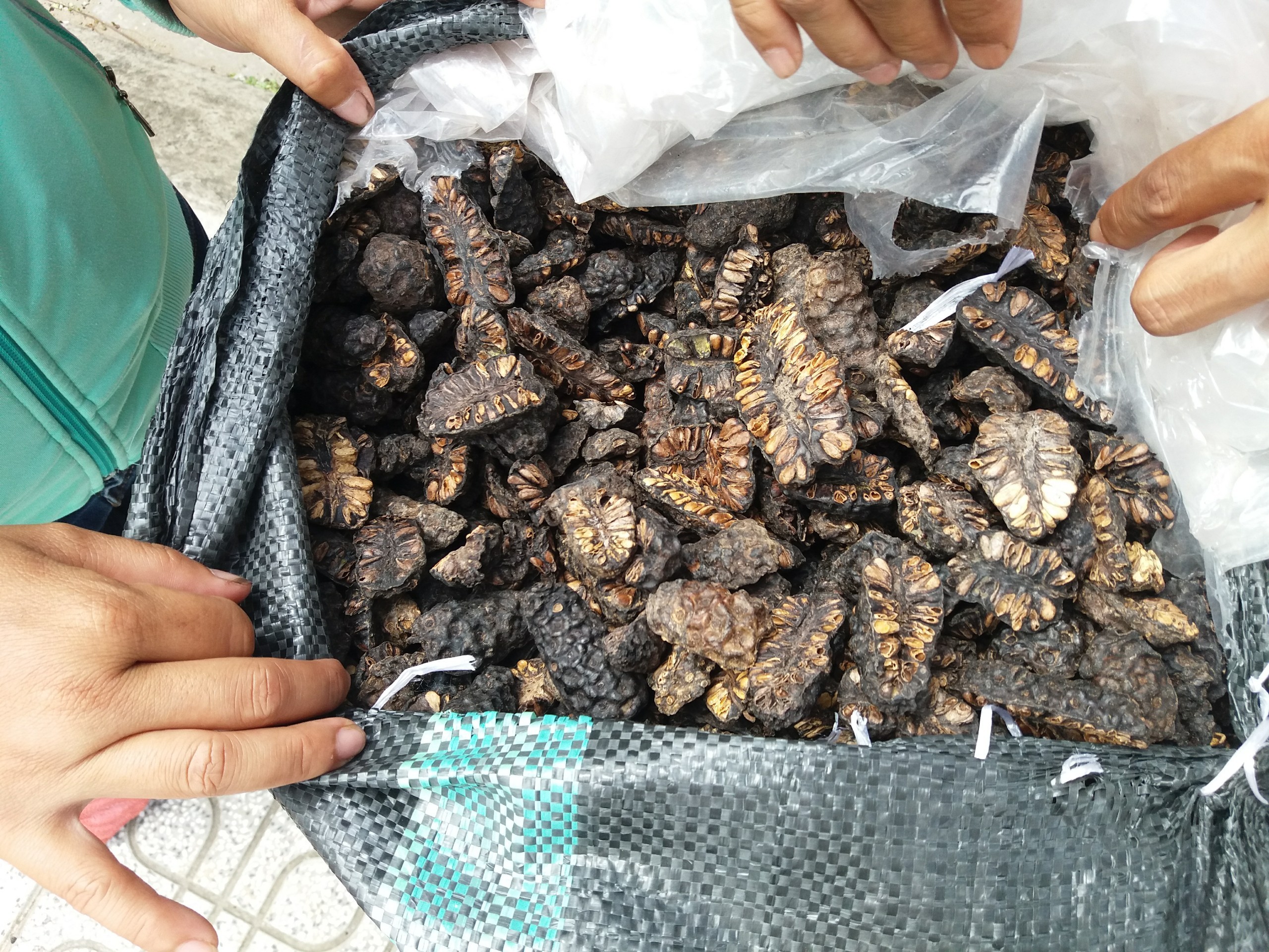 Best Quality Dried Noni Fruit For Herbal Tea 100% Natural Originated from Vietnam with Low Price