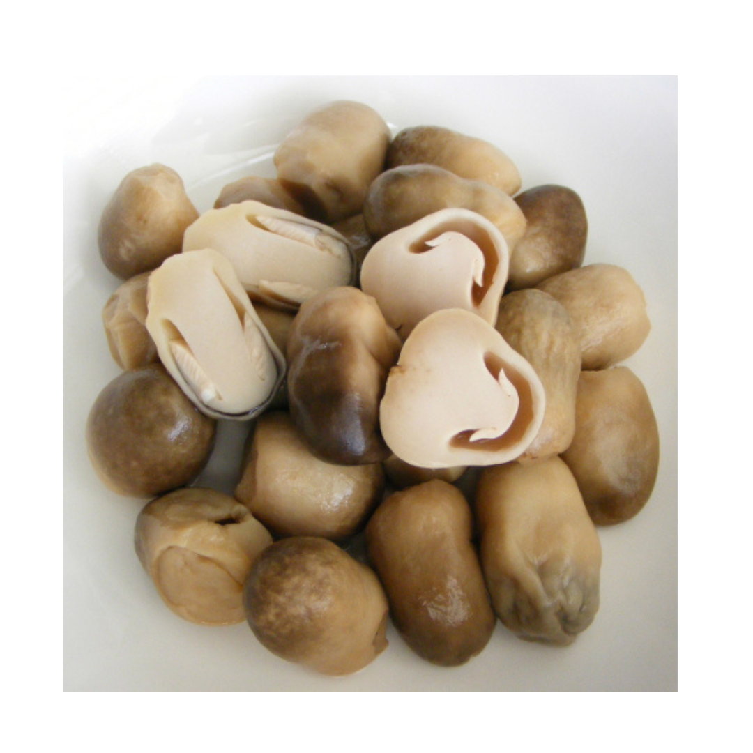 Top Quality And Good Price Canned Mushroom Delicious Export FRom Viet Nam