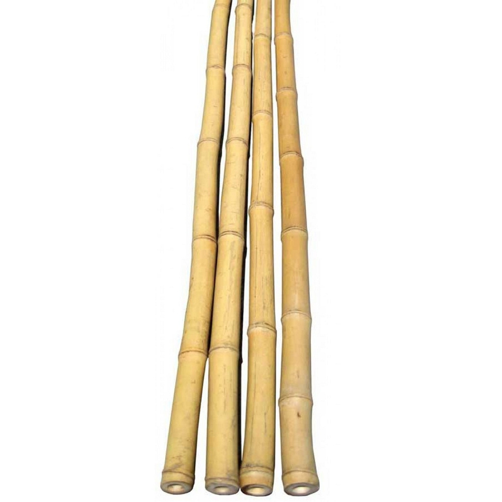 Eco Friendly Natural Straight Support Rod Bamboo Stakes Poles For Indoor Gardening Plant Supports