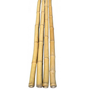 Eco Friendly Natural Straight Support Rod Bamboo Stakes Poles For Indoor Gardening Plant Supports