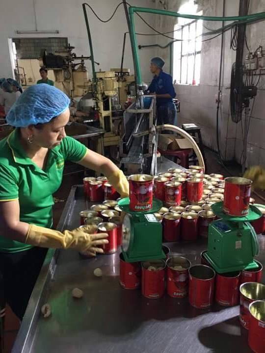 Canned Lychee With Syrup For Meal Serving, Beverages, Baking Bulk Export From Vietnam Factory