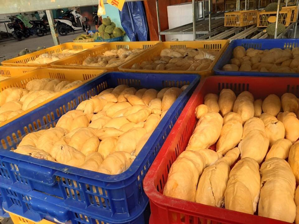 TOP PRODUCT  High Quality Frozen Durian with sweet taste of tropical fruits from Vietnam - Export Worldwide