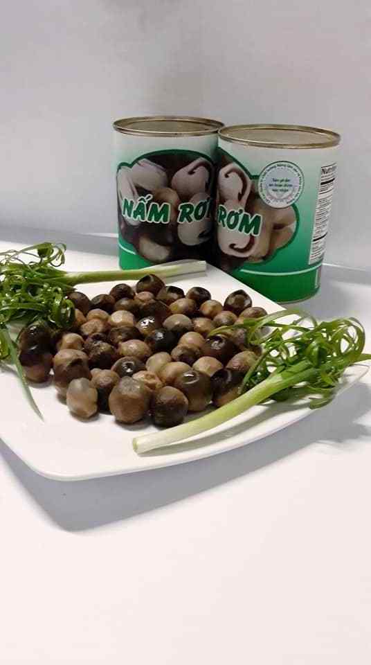 Hot Sale Best Quality Canned Mushroom Made In Viet Nam