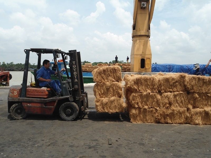 100% NATURAL COCONUT FIBER - COCONUT COIR For Microgreens Cheap price LARGE quantity AT BEST PRICE