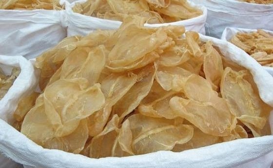 Competitive Prices Rich DRIED FISH MAW from Vietnam 100% natural originated with LOW PRICE