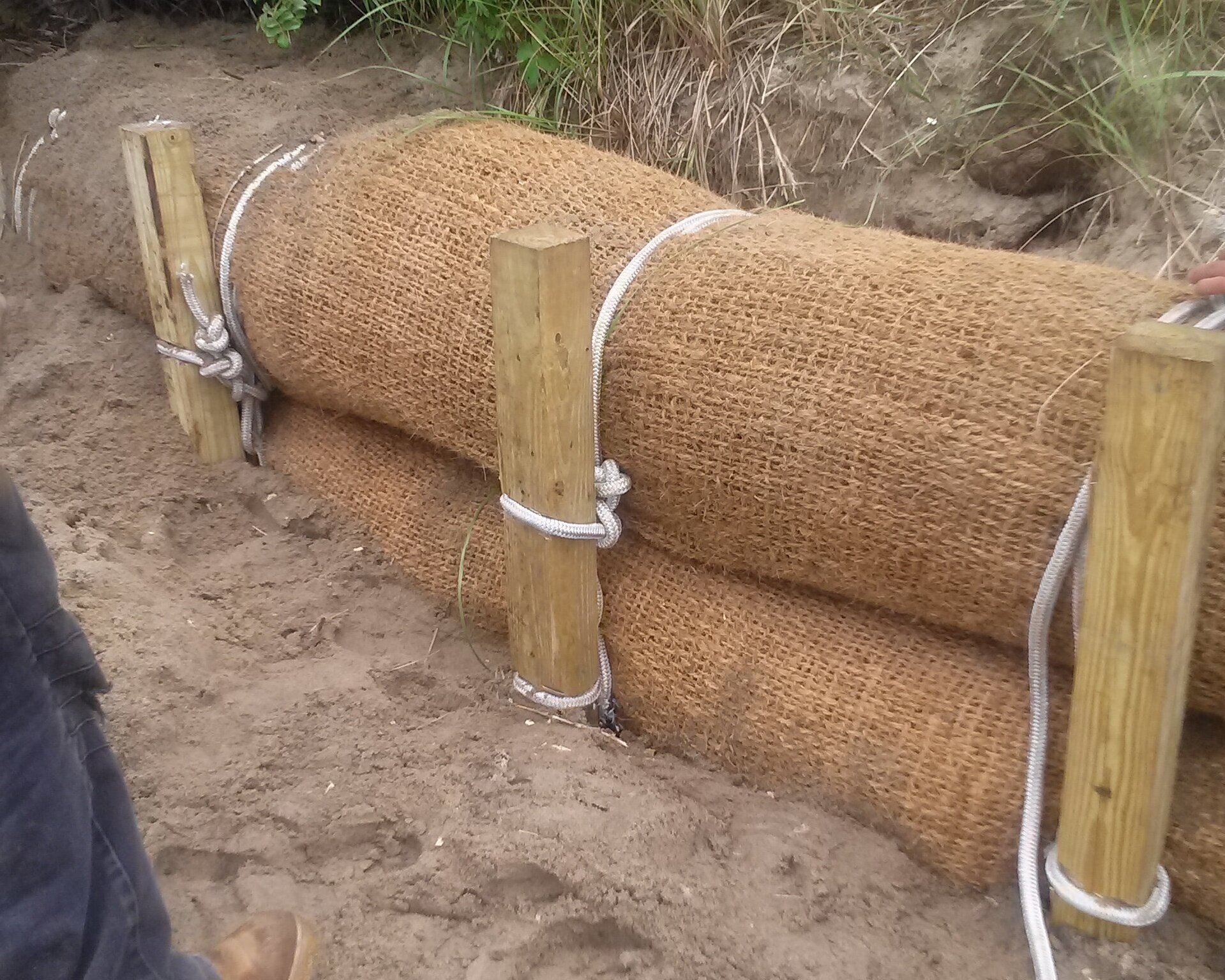 VN supplies top-quality coconut coir logs for Erosion Control wholesale export competitive prices from Vigifarm