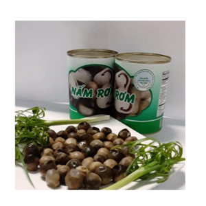 Top Quality And Good Price Canned Mushroom Delicious Export FRom Viet Nam