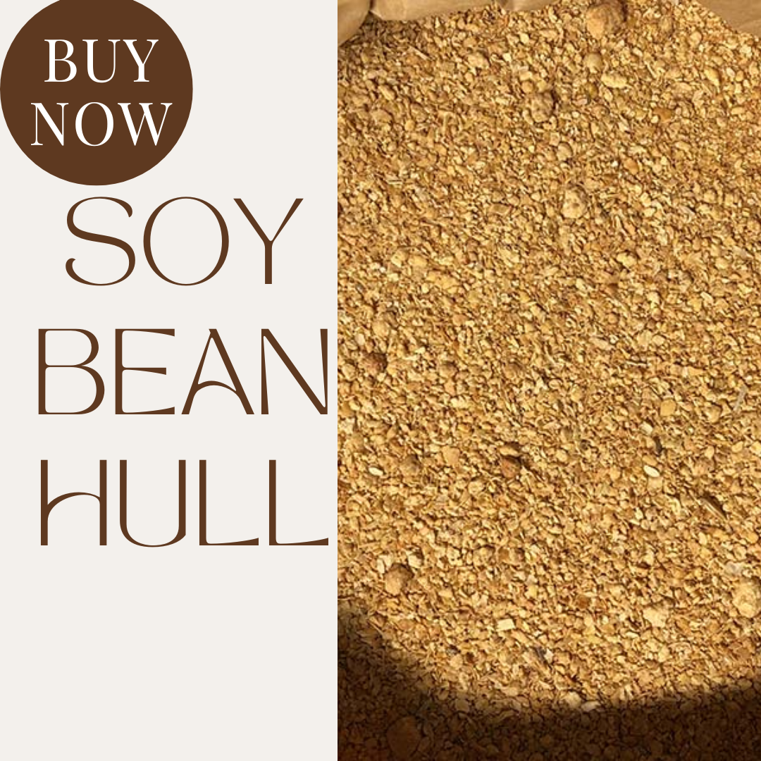 Vietnamese Residue Soy Bean Hulls For Animal Feed High Protein Export Standard in Bag Packaging From Viet Nam