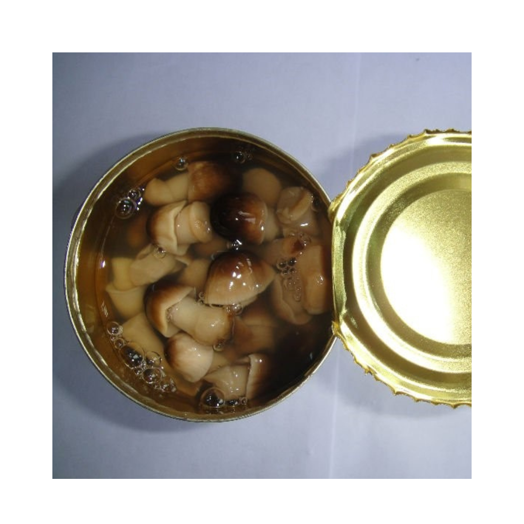 Healthy Cheap Price Fresh Vegetables Best Canned Straw Mushroom Manufacturers In Viet Nam