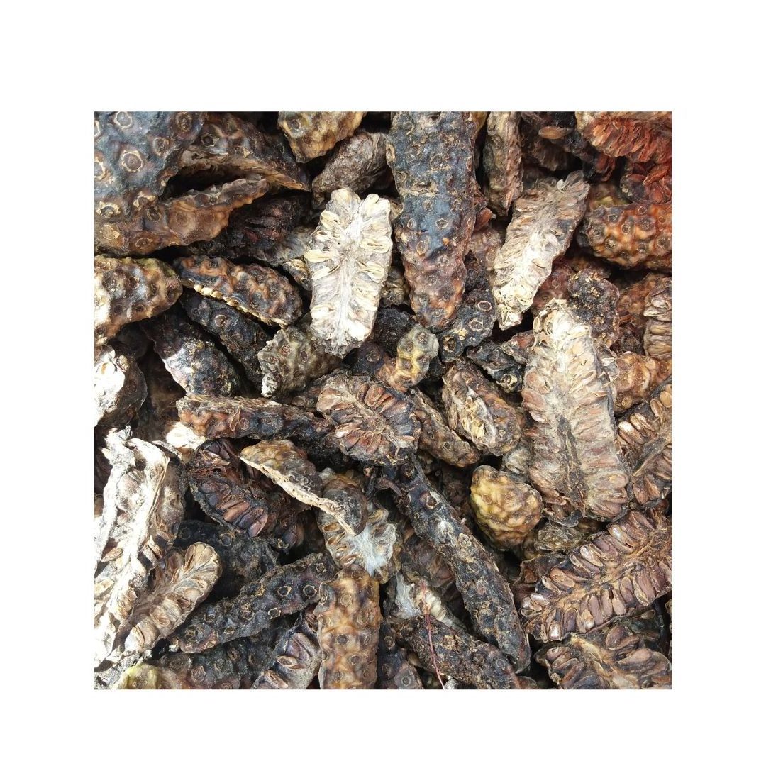 Best Quality Dried Noni Fruit For Herbal Tea 100% Natural Originated from Vietnam with Low Price