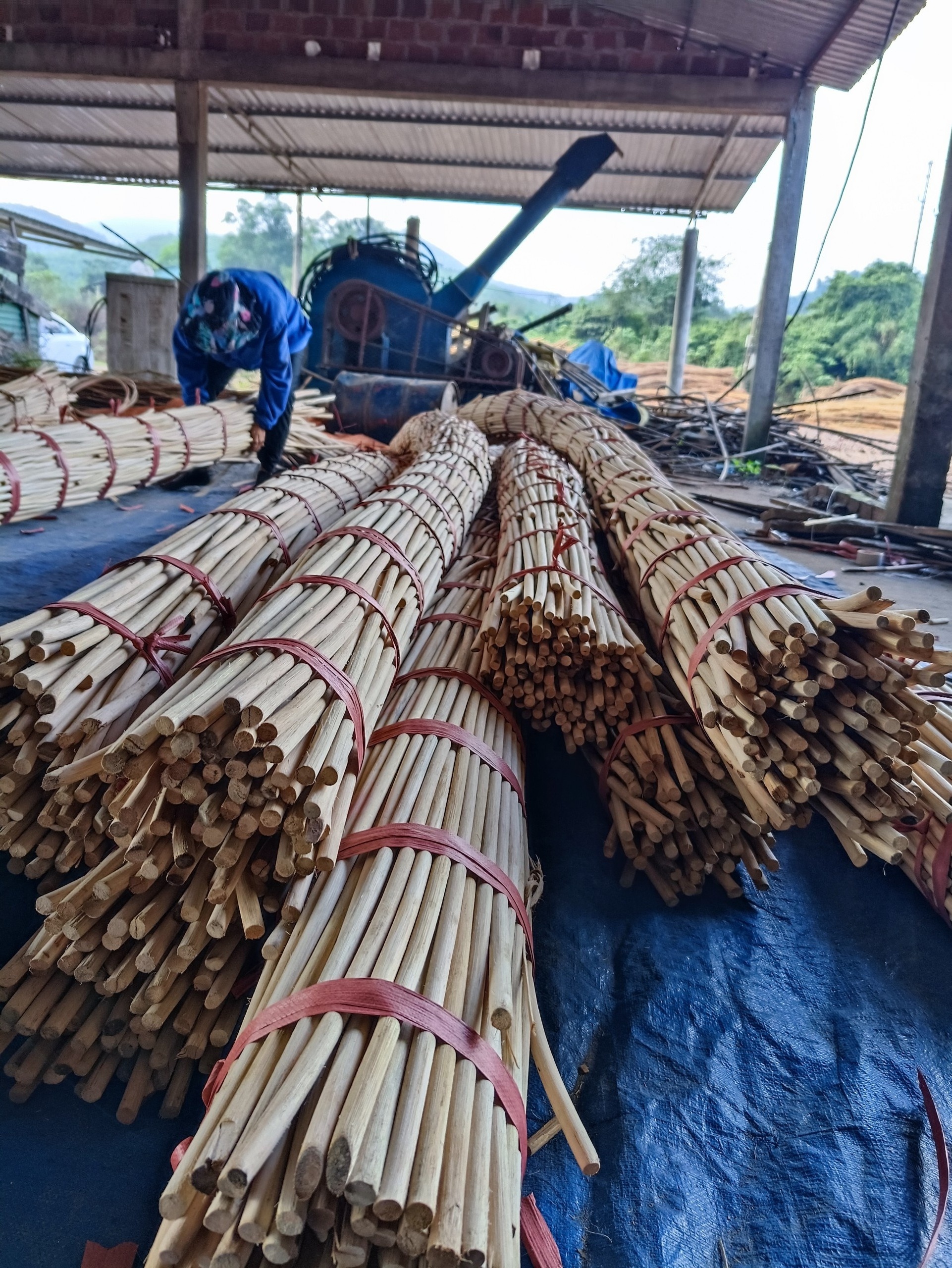 Cheap Price Natural Rattan Cane Roll Pole Wholesale For Weaving Furniture Making Baskets From Vietnam