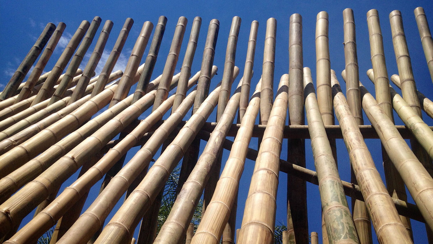 Eco Friendly Natural Straight Support Rod Bamboo Stakes Poles For Indoor Gardening Plant Supports