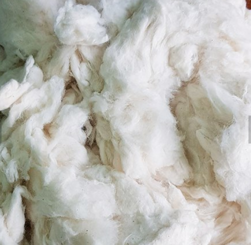 BLEACHED COMBER NOIL/COTTON COMBER NOIL/ COTTON WASTE BEST PRICE HIGH QUALITY FROM VIETNAM - Ms. Florence