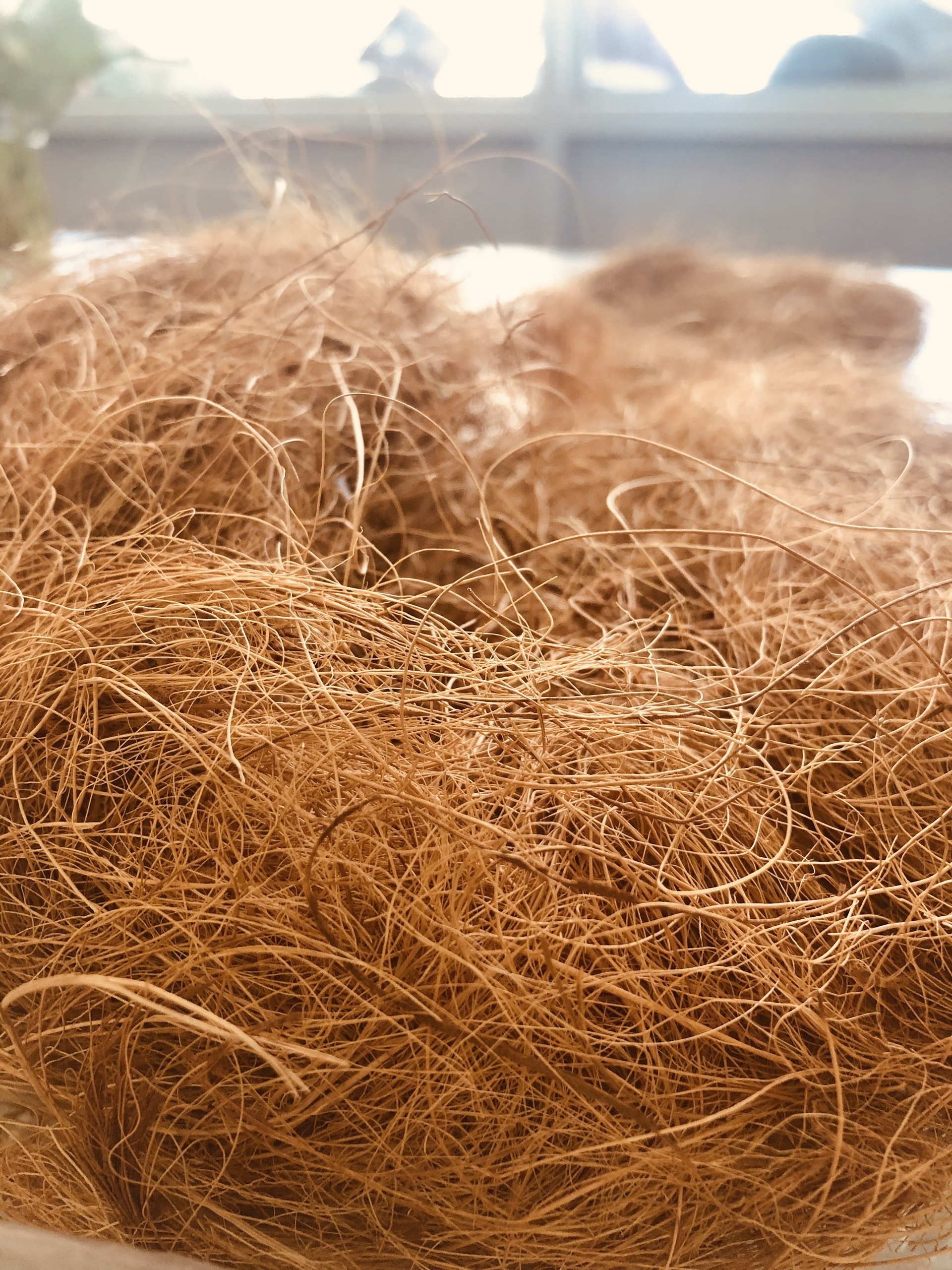 COCONUT FIBER / COCONUT COIR VIETNAM - SPECIAL PRODUCT