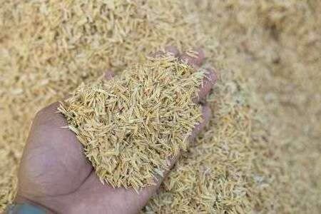 100% Rice Husk Raw High Quality for Animal Aminal Feed Plant Protein a Grade Viet Nam