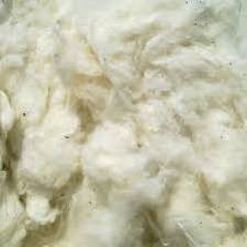 Best Price Cotton Comber Noil, Bleached Cotton, Cotton Waste in Vietnam For Spinning Mill - Ms. Claire