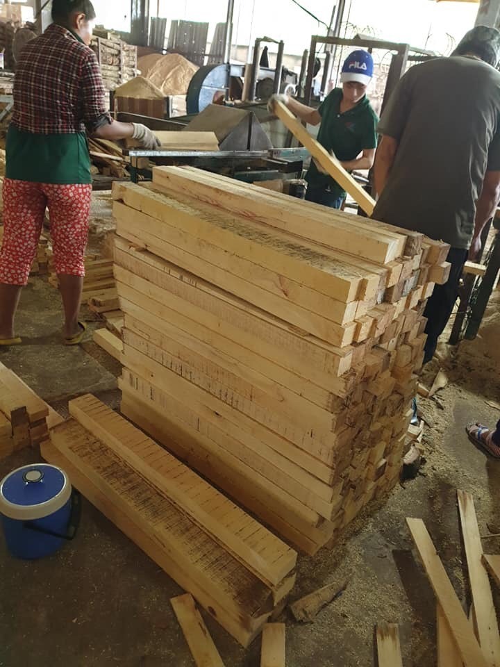 VIETNAM RUBBER WOOD - LOG/SAWN TIMBER/ LUMBER