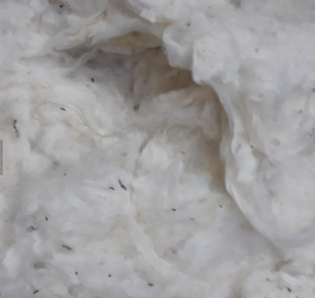 Best Price Cotton Comber Noil, Bleached Cotton, Cotton Waste in Vietnam For Spinning Mill - Ms.Emma +84937694483