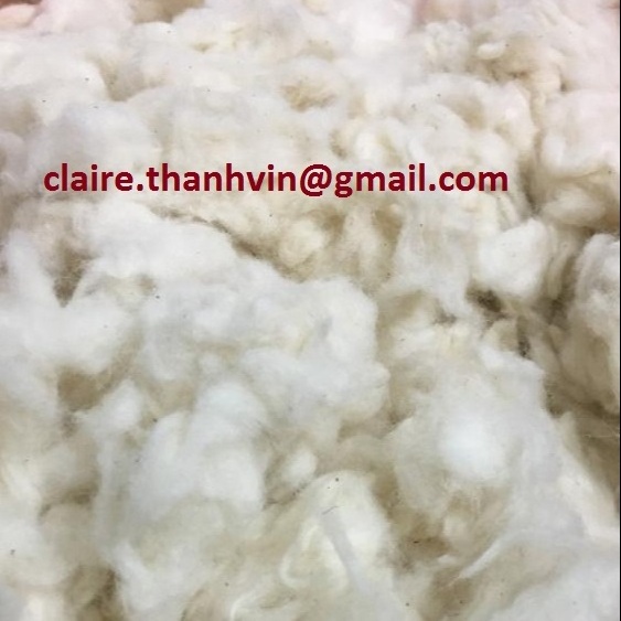 COTTON COMBER NOIL/ COTTON WASTE BEST PRICE HIGH QUALITY FROM VIETNAM - Ms. Claire