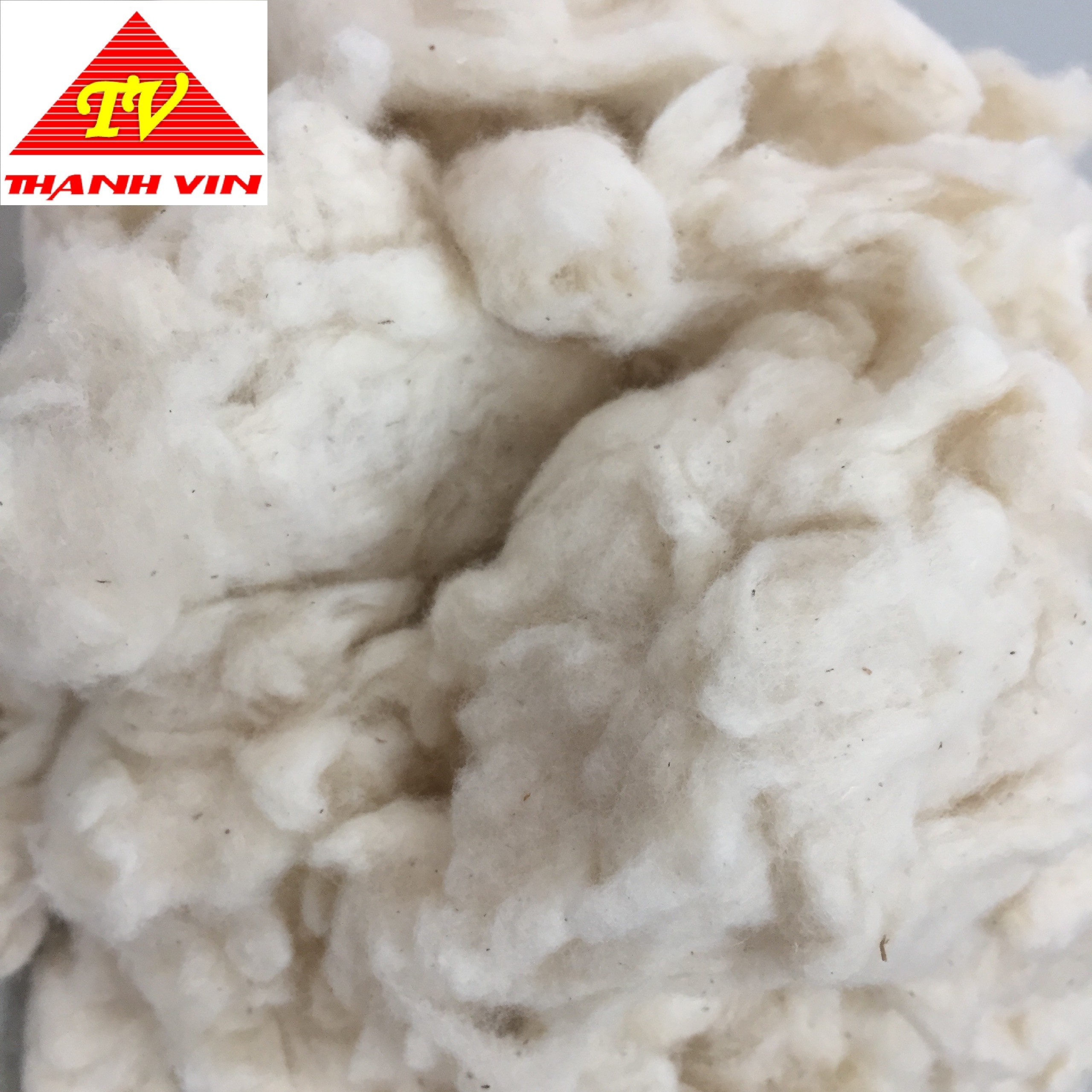 Sustainable White Bleached Cotton Comber Noil for Non-Woven Goods Spinning yarn and Filling Material Cotton - Ms. Florence