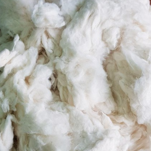 Best Price Cotton Comber Noil, Bleached Cotton, Cotton Waste in Vietnam For Spinning Mill - Ms. Claire