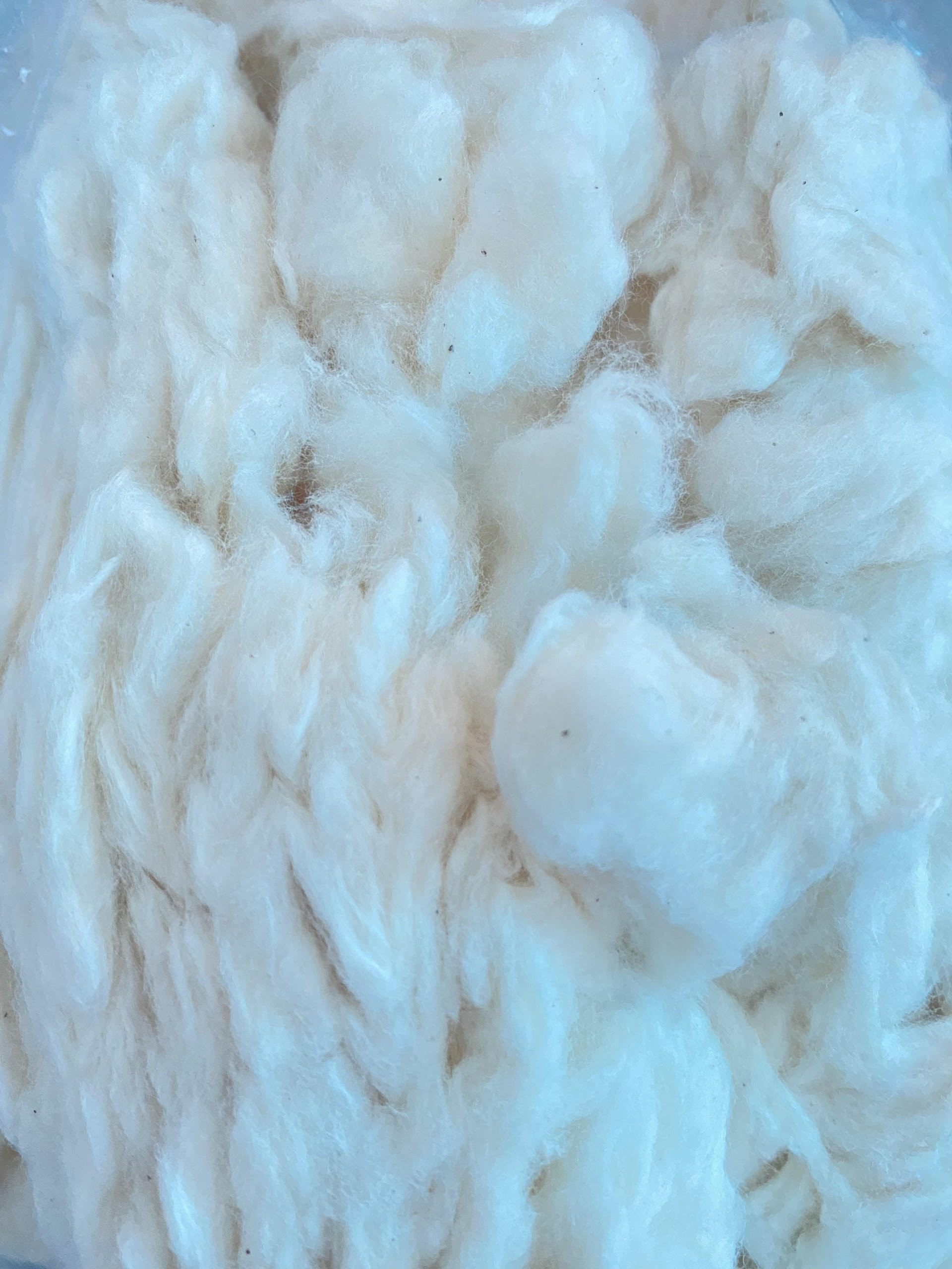 100% competitive price  cotton comber noil for filling pillow cushion cotton fiber waste ( Serena +84 353 127 166)