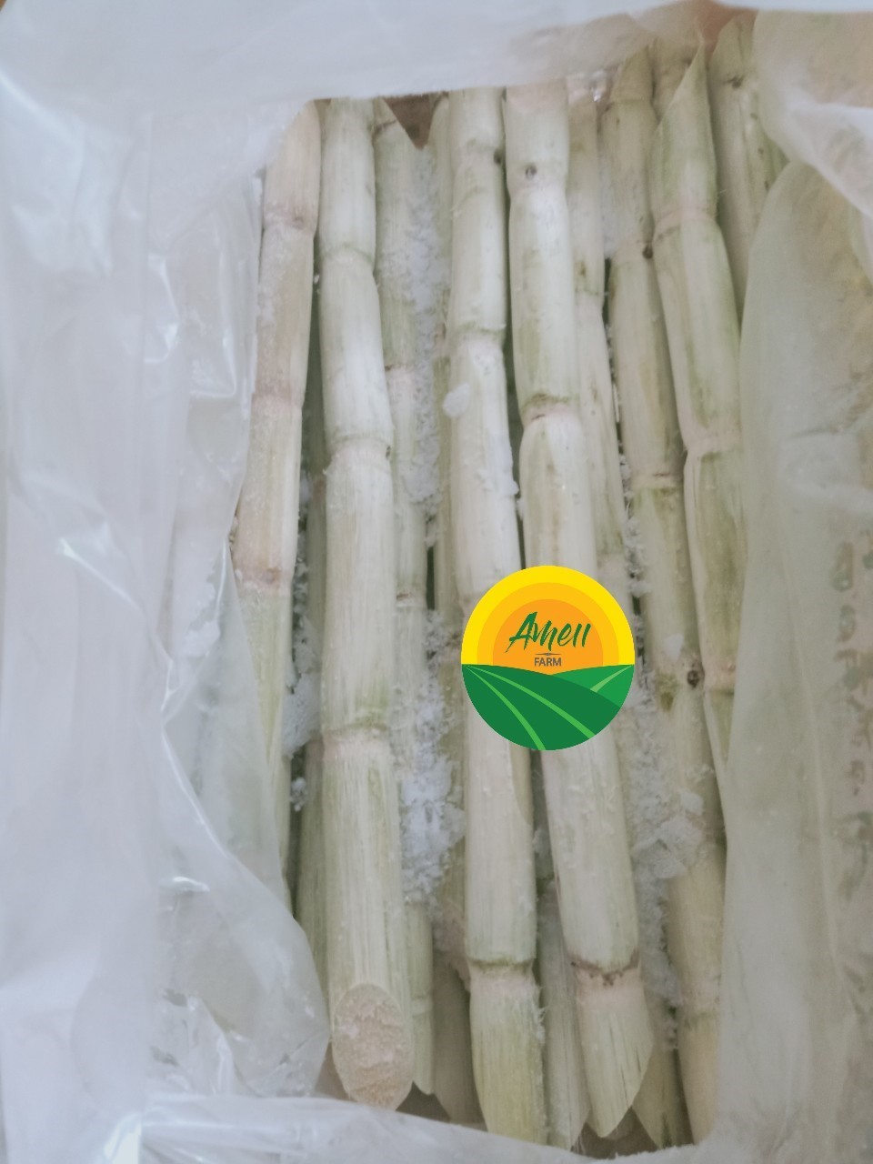 Frozen Organic Sugarcane, Sugar Cane Juice Raw Material, Sugar cane stick frozen