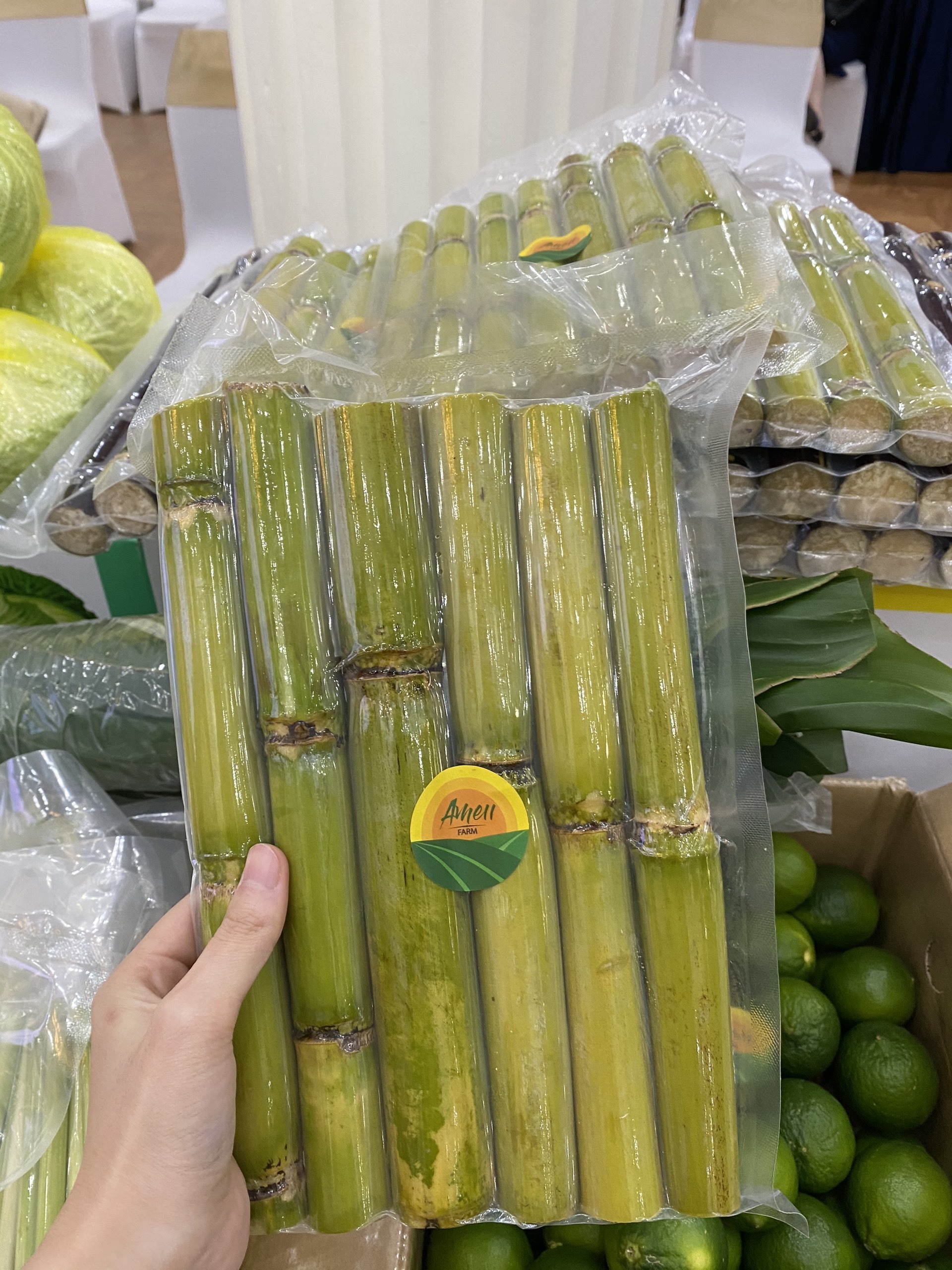 Frozen Organic Sugarcane, Sugar Cane Juice Raw Material, Sugar cane stick frozen