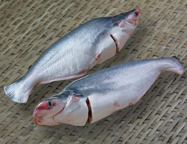 Competitive Price for Frozen Whole Round Basa Fish at simple price