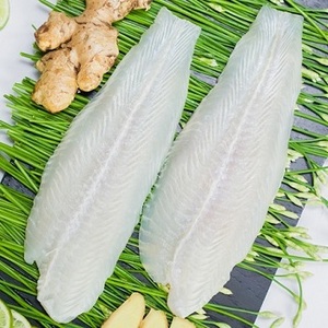 quality dory fish fillet