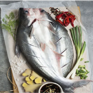 Superior Butterfly Cut Basa Fish From Famous Suppliers