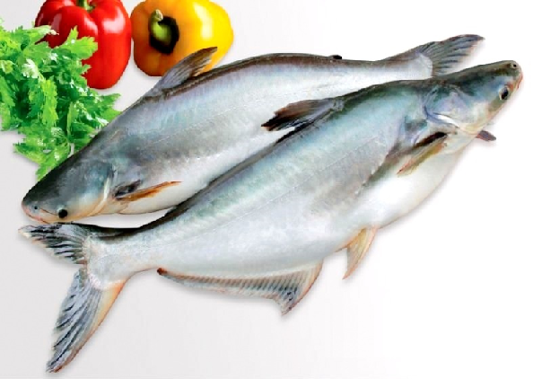 Competitive Price for Frozen Whole Round Basa Fish at simple price