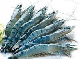 Exceptional Quality Seafood: Frozen HOSO Vannamei Shrimp at Best Price