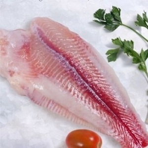 quality dory fish fillet