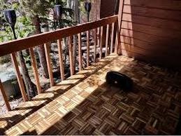 High quality interlocking outdoor deck tiles/ Wood decking size 300 x 300 mm DECOR  balcony garden way terrace patio decking