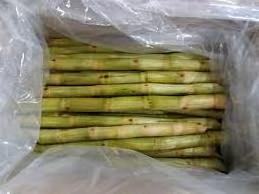 Sweet And Juicy  Frozen Sugar Cane +84815570479